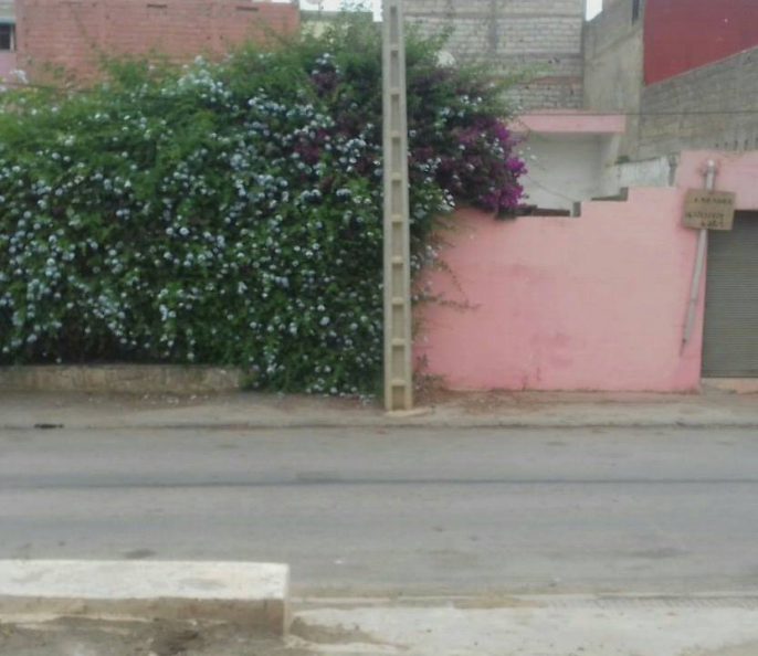 vente d&rsquo;une villa / maison à Benslimane