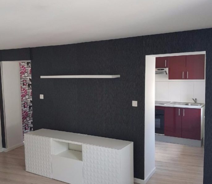 A louer superbe DUPLEX RENOVE NANCY proche ICN,Fac lettres