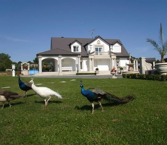 Villa Sainte Marie (POLOGNE)