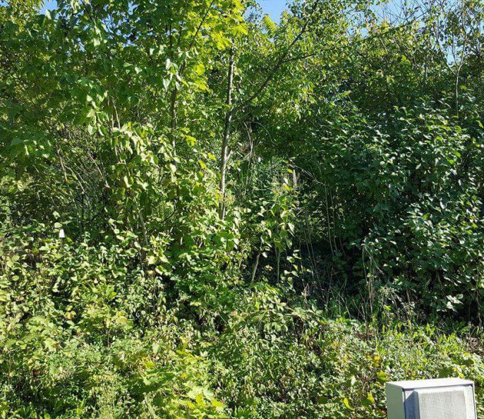 Terrain, La frette-sur-seine départ 95 France