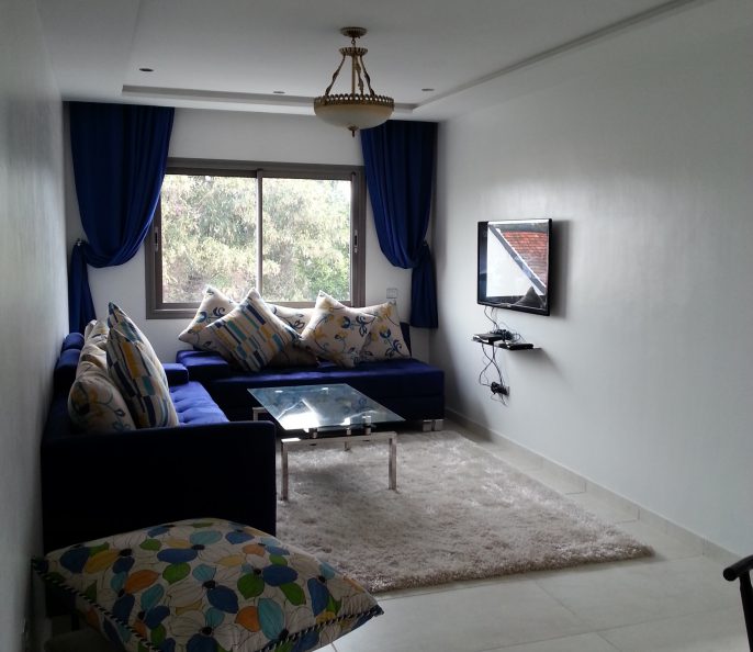 Coquet appt meublé sans vis à vis à louer