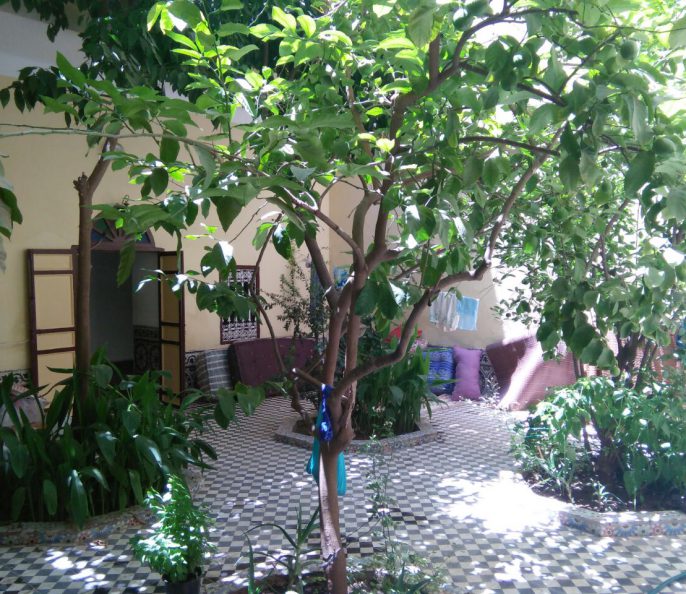 Riad a vendre
