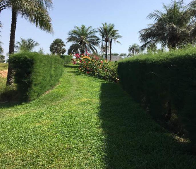 Vente villa standing neuve, Cap Skirring (Sénégal)