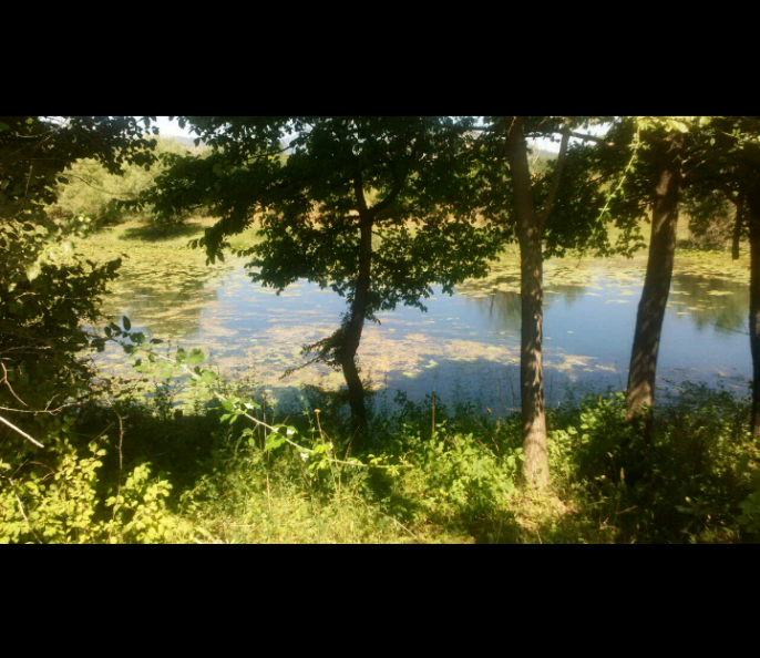 Vente de terrain Monténégro