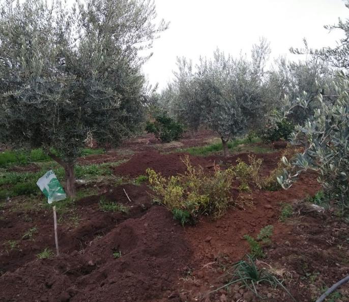 Terrain 2900 m² titré route Sidi Abdellah Ghiat