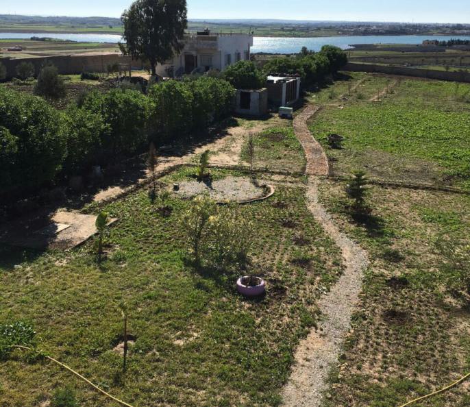 Villa de 3000 m2 à Vendre à Safi