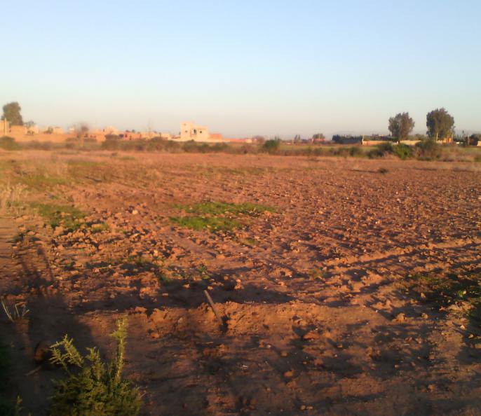 Terrain pour villa de 3855m2  à Rte Amizmiz Makech
