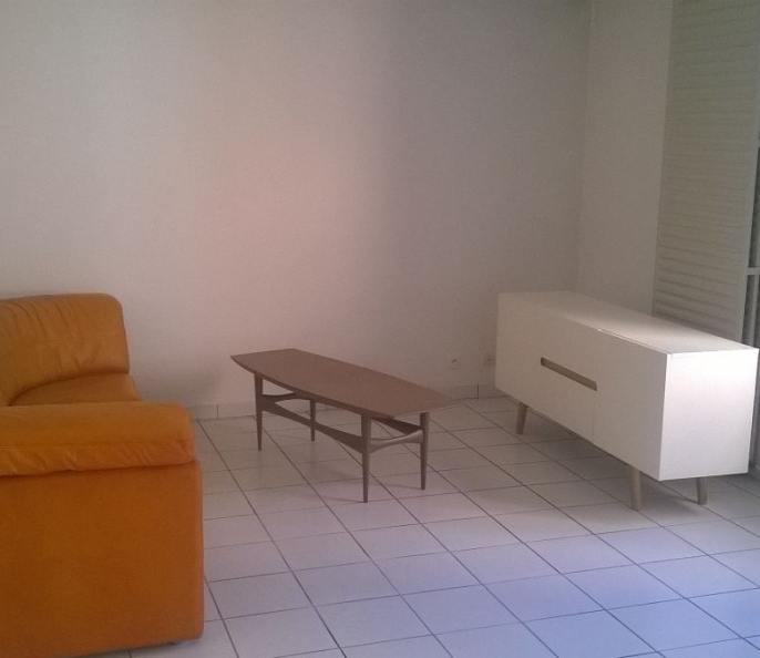 T3 meublé-grand jardin