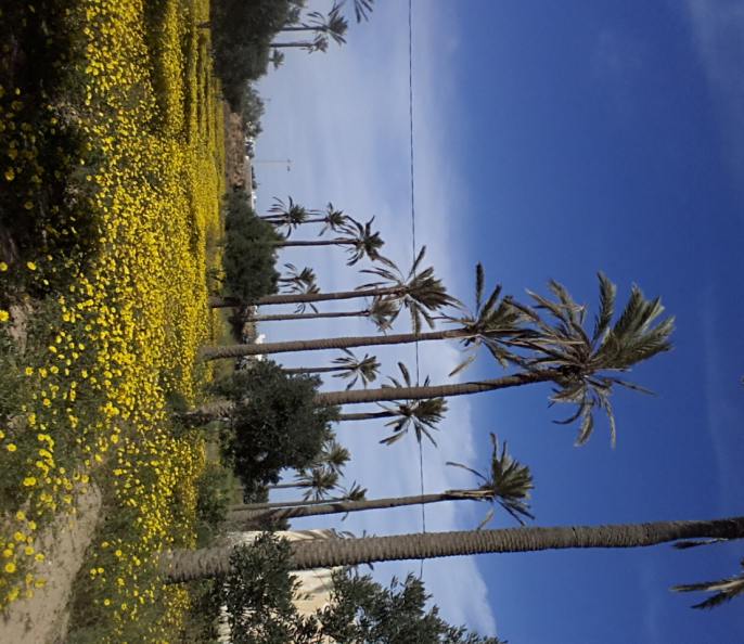 terrain de 1080 m2